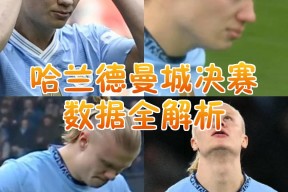 开云棋牌关于败北首场状态出色，尤文图斯观众沸腾！，哈兰德重返赛场全场沸腾不已的信息